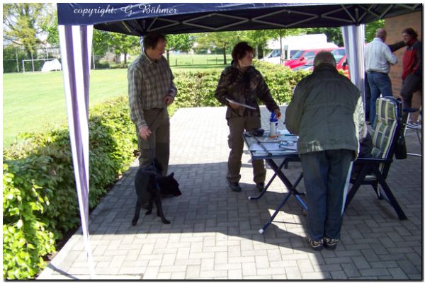 Zuchtzulassung 2010 039.JPG